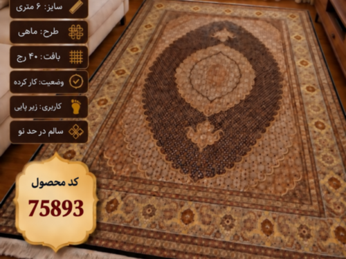 فرش دستباف ماهی زیرپایی – کد 75893